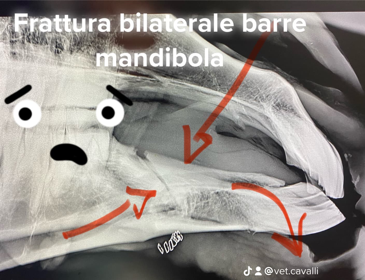 Maniglione orizzontale porta del box